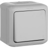 Переключатель LEGRAND Quteo на 2 направления 10 A 250 В IP 44 серый 782334